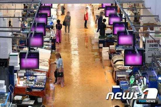 Корейцы боятся радиоактивной рыбы