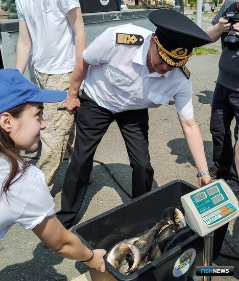 Свердловская область открыла сезон зарыблений Свердловская область открыла сезон зарыблений