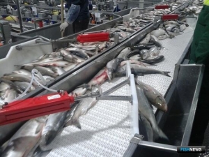 На Дальнем Востоке объединят три ТОР