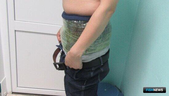 Нервы выдали трепанговых контрабандистов Нервы выдали трепанговых контрабандистов