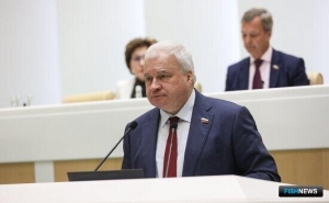 Совфед поддержал упрощение электронной торговли с АТР