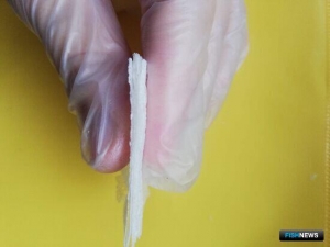 В АГТУ предложили рыбную альтернативу полиэтилену