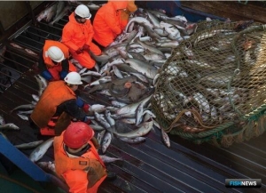 &laquo;Норебо&raquo; наращивает поставки внутри страны и присматривается к новым рынкам