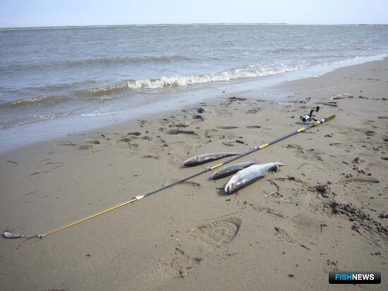 На Сахалине подготовили участки для организаторов рыбалки