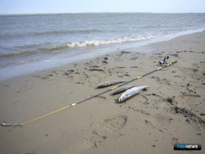 На Сахалине подготовили участки для организаторов рыбалки