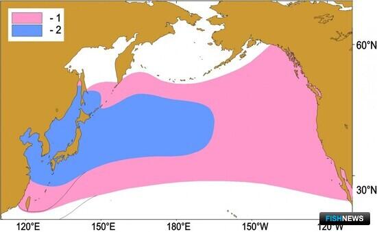 СахНИРО оценил возможные последствия сбросов с &laquo;Фукусимы&raquo;
