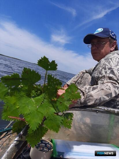 Флору краснодарских лиманов проверила экспедиция