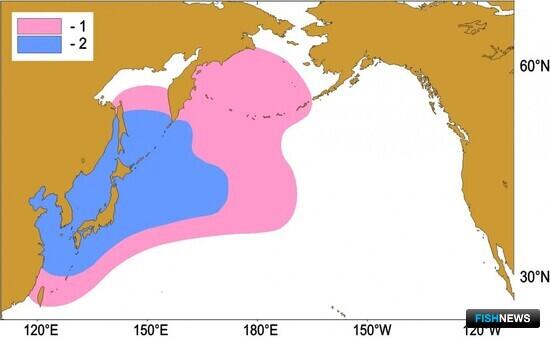 СахНИРО оценил возможные последствия сбросов с &laquo;Фукусимы&raquo;