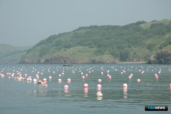 Законопроект о ГЭЭ движется к принятию Законопроект о ГЭЭ движется к принятию