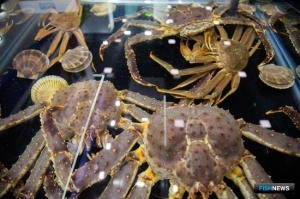 Россия тестирует электронную сертификацию для экспорта уловов