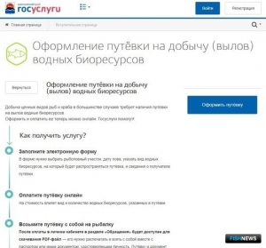 Камчатцы активно оформляют цифровые путевки на лосось