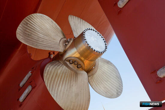 Локализацию в судостроении призывают сделать выполнимой