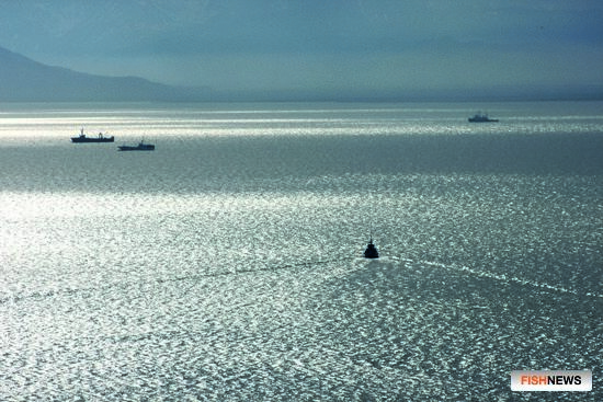 Правилам рыболовства с иностранным участием расширят подзаконную базу