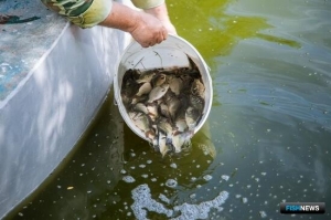 Кто нужен отрасли, проанализировал Россельхозбанк