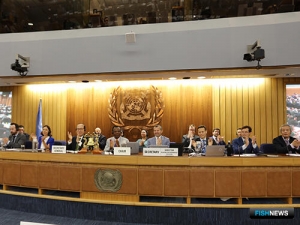 В России обсуждают новую стратегию по парниковым газам