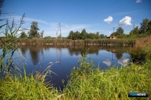 Рыбоводам добавили направлений для льготного кредитования