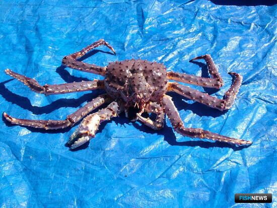 Север получил обновленные правила рыболовства