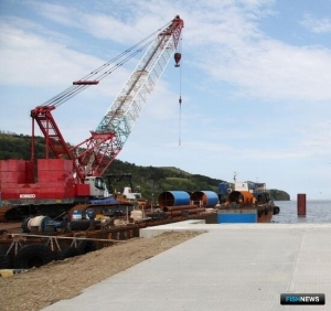 Методику для расчета вреда рыбе планируют улучшить