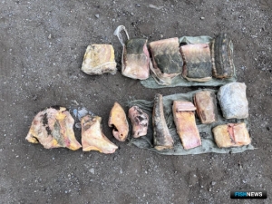 Покупка браконьерской осетрины привела к уголовному делу