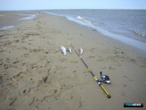 Три участка для любительского лова разыграют на Сахалине
