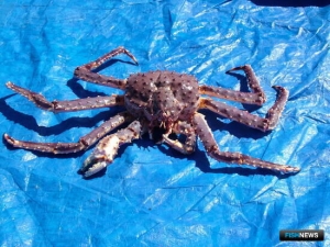 Север получил обновленные правила рыболовства