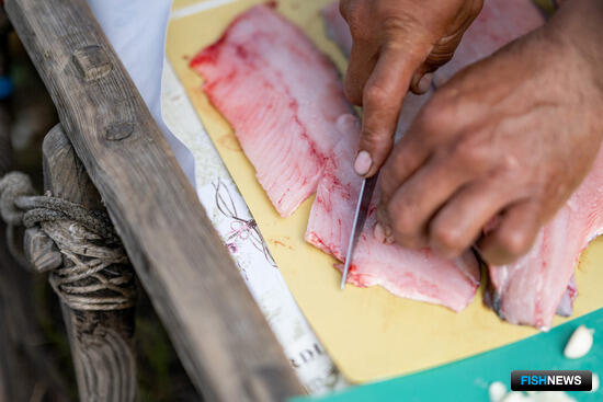 Необходимый для рыбалки КМНС документ актуализировали