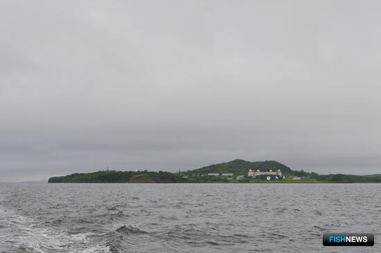 Закон о единой системе экомониторинга прошел Госдуму