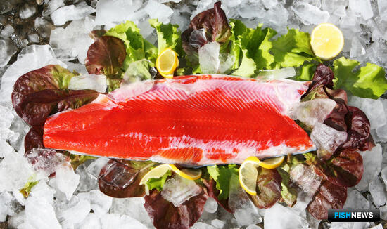 Для рыбаков планируют «лососевый» вычет Для рыбаков планируют «лососевый» вычет