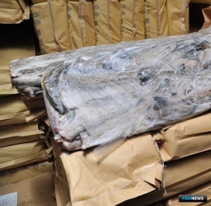 Россия наращивает рыбные поставки в Китай