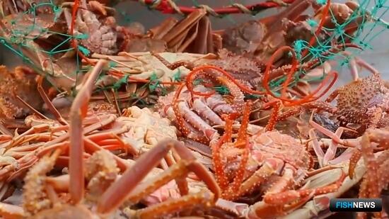 Краболовам обновили обязательства под вторую волну аукционов Краболовам обновили обязательства под вторую волну аукционов