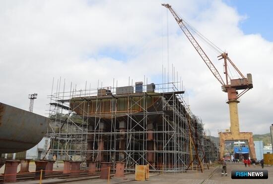 Правила проверки строительства объектов под крабовые квоты обновят