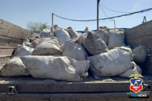 Браконьерский улов артемии обеспечил алтайцу уголовное дело