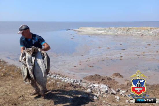 Браконьерский улов артемии обеспечил алтайцу уголовное дело Браконьерский улов артемии обеспечил алтайцу уголовное дело