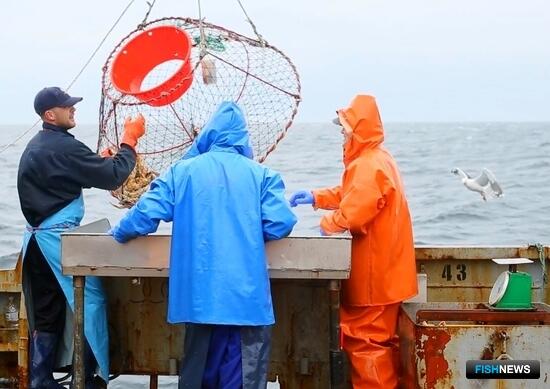 Новым краболовам потребуются системы видеонаблюдения