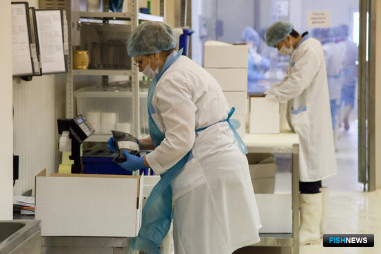 Закон об утилизации упаковки прошел Совфед