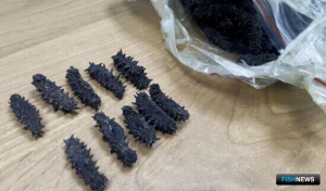 Трепанговые &laquo;стельки&raquo; учуяли на таможне