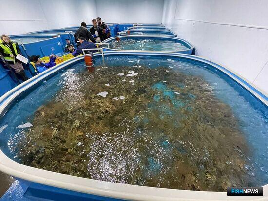 Павел Клименко: Выполним любой заказ в промышленном холодоснабжении