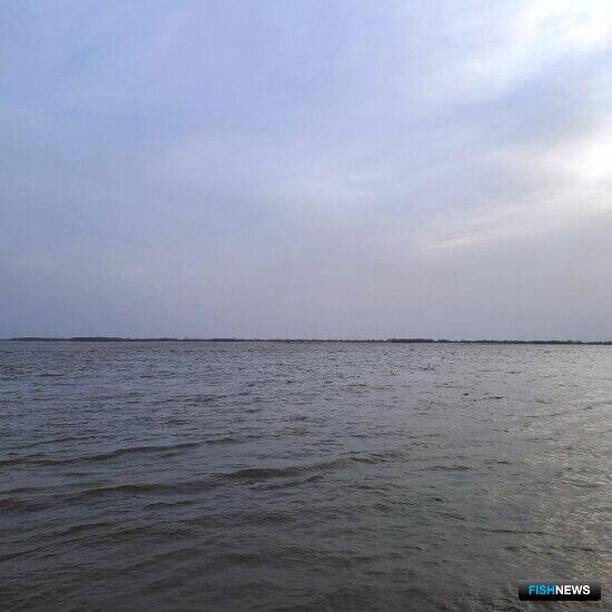 Наука видит большой потенциал у Амура