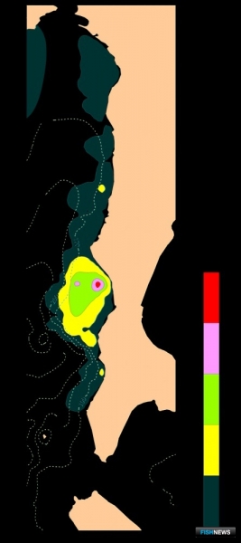 Наука оценила перспективы промысла на Западном Сахалине Наука оценила перспективы промысла на Западном Сахалине
