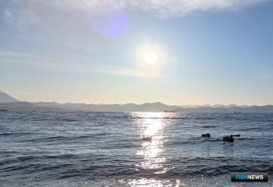 Правительство рассмотрит важные поправки по ГЭЭ