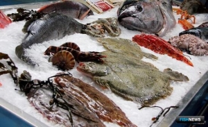 Роспотребнадзор отказывается видеть проблему рыбаков