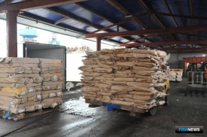 Владивостокский рыбный порт активно принимает лосось