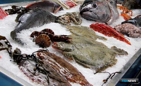 Роспотребнадзор отказывается видеть проблему рыбаков