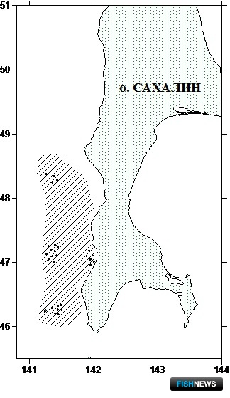 Наука оценила перспективы промысла на Западном Сахалине Наука оценила перспективы промысла на Западном Сахалине