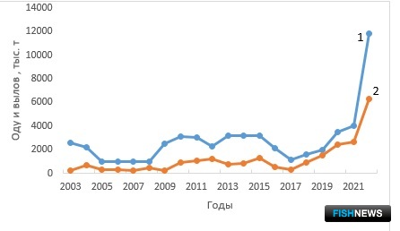Наука оценила перспективы промысла на Западном Сахалине Наука оценила перспективы промысла на Западном Сахалине