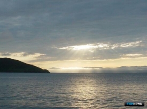 Проект закона с уточнениями по ГЭЭ в рыбной отрасли поступил в Госдуму