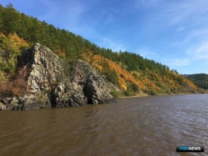 Хабаровский край распланировал путину осенней кеты