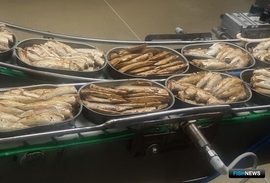 Шпроты останутся на российских прилавках