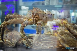 Для экспорта живых уловов обновят регламент