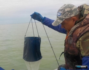 Наука собирает данные об артемии Алтая